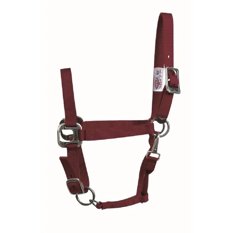 Western Rawhide Signature Halter W/Antique Silver Hardware W/Snap - Burgundy 3 Western Rawhide Signature Halter W/Antique Silver Hardware W/Snap - Burgundy