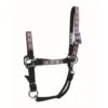 Western Rawhide Signature Pattern Halter W/Snap - Black/Octagon 1 Western Rawhide Signature Pattern Halter W/Snap - Black/Octagon -Saddle Shop 443849 800 800