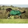 Rambo Original Turnout W/Leg Arches 100g - Green/Red -Saddle Shop 445206 800 800