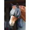 Kensington UViaitor Dartless Fly Mask W/Web Trim, Ears And Forelock Hole - Deluxe Black 1 Kensington UViaitor Dartless Fly Mask W/Web Trim, Ears And Forelock Hole - Deluxe Black -Saddle Shop 445912 800 800