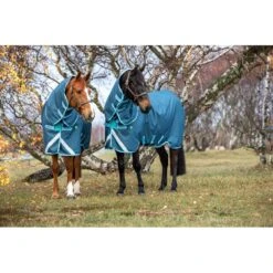 Front Page -Saddle Shop 446753 800 800