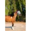 Kensington Mini Fly Mask W/Plush Fleece Trim - Imperial Jade -Saddle Shop 446830 800 800
