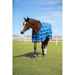Kensington Protective Sheet SureFit - Kentucky Blue -Saddle Shop 447025 800 800