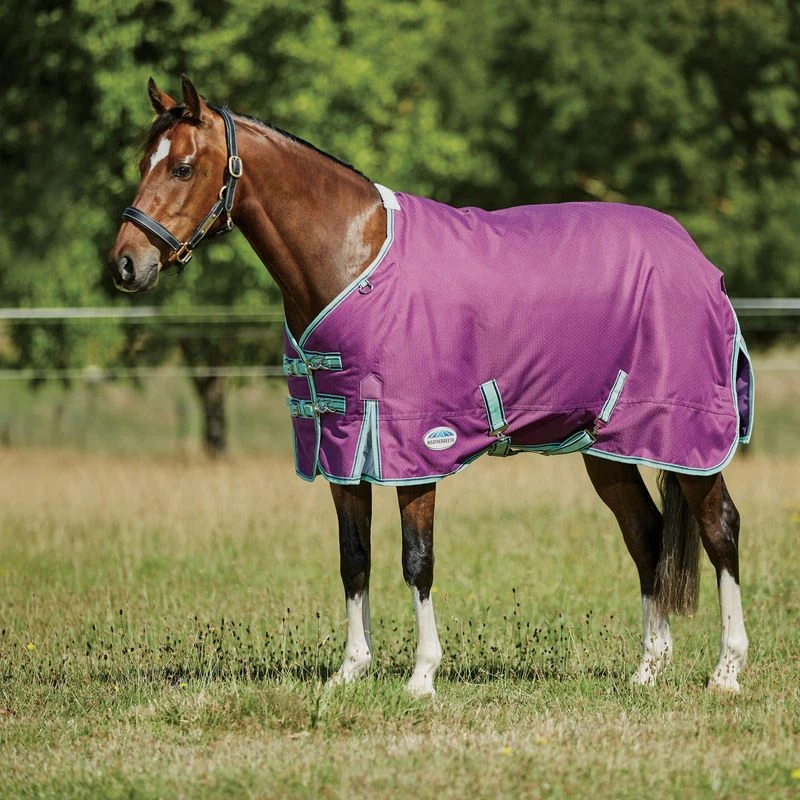 Weatherbeeta Comfitec Premier Freedom Pony Standard Neck Medium - Purple/Navy/Mint 3 Weatherbeeta Comfitec Premier Freedom Pony Standard Neck Medium - Purple/Navy/Mint