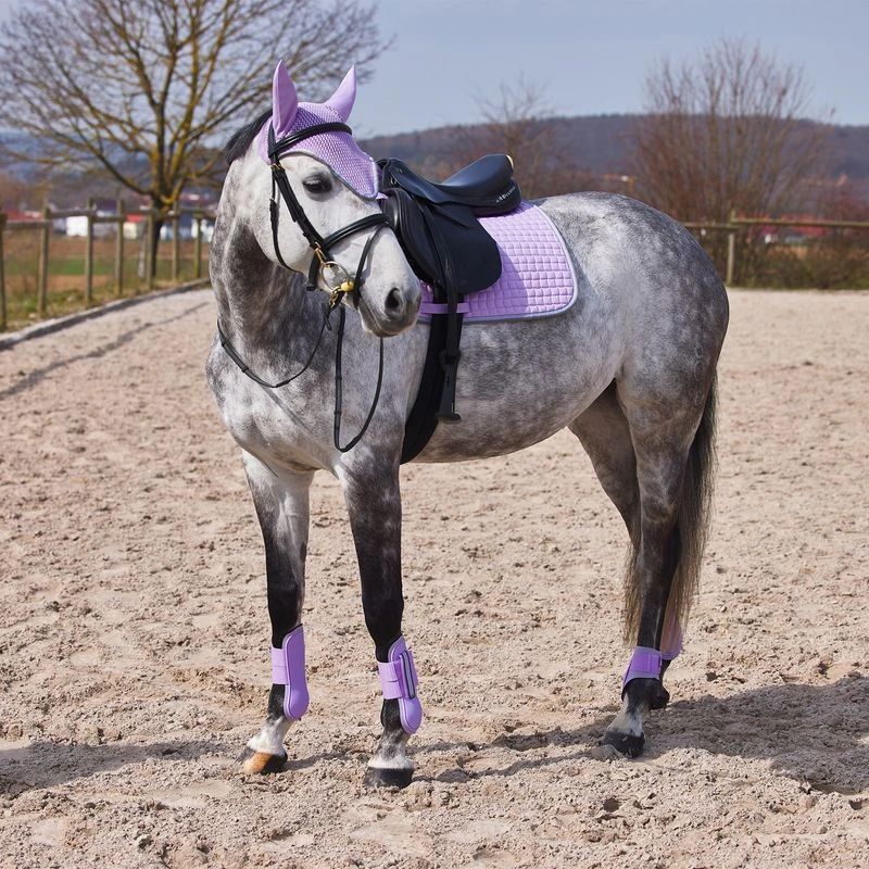 Horze Adepto Tendon Boots - Languid Lavender Purple 4 Horze Adepto Tendon Boots - Languid Lavender Purple - Image 2