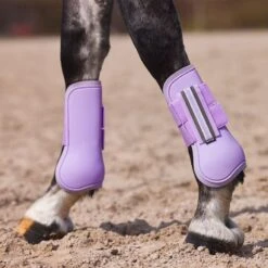 Horze Adepto Tendon Boots - Languid Lavender Purple 8 Horze Adepto Tendon Boots - Languid Lavender Purple -Saddle Shop 454384 800 800