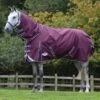 Weatherbeeta Comfitec Plus Dynamic II Detach-A-Neck Medium - Maroon/Grey/White -Saddle Shop 458116 800 800