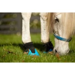Tubbease Hoof Sock - MultiColor -Saddle Shop 469914 800 800