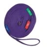 Kincade Two Tone Lunge Line With Circle Markers - Purple/Black -Saddle Shop 474511 800 800