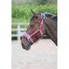 Shires Fleece Lined Lunge Cavesson - Pink -Saddle Shop 474982 800 800