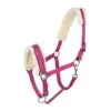 Horze Lunging Cavesson - Raspberry Pink -Saddle Shop 479600 800 800