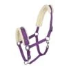 Horze Lunging Cavesson - Purple -Saddle Shop 479705 800 800