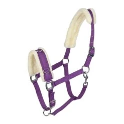 Horze Lunging Cavesson - Purple