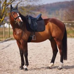 Horze Cooling Ear Net - Dark Grey 6 Horze Cooling Ear Net - Dark Grey -Saddle Shop 479905 800 800