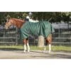 Kensington Signature Medium Weight Turnout - Hunter -Saddle Shop 480418 800 800