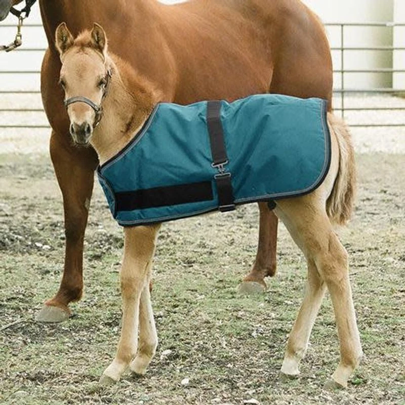 Kensington Signature Adjustable Foal Turnout - Harbor 3 Kensington Signature Adjustable Foal Turnout - Harbor