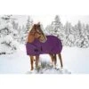 Kensington Signature Adjustable Weanling Turnout - Purple -Saddle Shop 481234 800 800