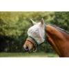 Amigo Fly Mask - Oatmeal/Green -Saddle Shop 485406 800 800