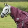 Weatherbeeta Comfitec Plus Dynamic II Neck Rug Medium/Lite - Maroon/Grey/White 2 Weatherbeeta Comfitec Plus Dynamic II Neck Rug Medium/Lite - Maroon/Grey/White -Saddle Shop 493766 800 800