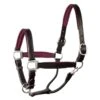 Perri's 1" Padded Leather Halter - Black/Burgundy -Saddle Shop 500369 800 800