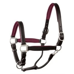 Perri's 1" Padded Leather Halter - Black/Burgundy