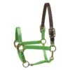 Perri's Nylon Safety Halter - Lime -Saddle Shop 500432 800 800