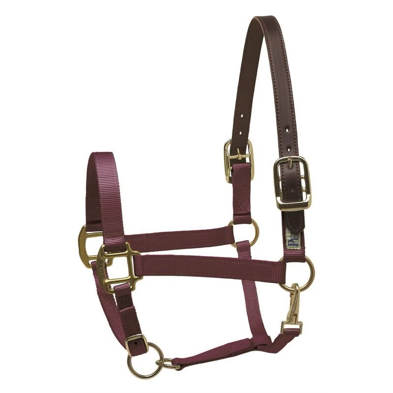 Perri's Nylon Safety Halter - Burgundy 3 Perri's Nylon Safety Halter - Burgundy