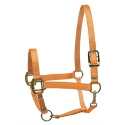 Perri's Nylon SuperHalter - Orange