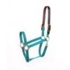 Perri's Economy Nylon Safety Halter - Turquoise 1 Perri's Economy Nylon Safety Halter - Turquoise -Saddle Shop 502027 800 800