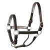 Perri's 1" Metallic Padded Leather Halter - Black/Gun Metal -Saddle Shop 503210 800 800
