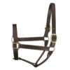 Perri's 1" Leather Track Halter - Havana -Saddle Shop 503718 800 800