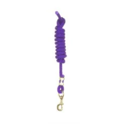 Perri's 5/8" Nylon Lead W/Snap - Purple