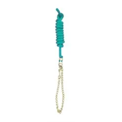 Perri's 5/8" Nylon Lead W/Chain - Teal