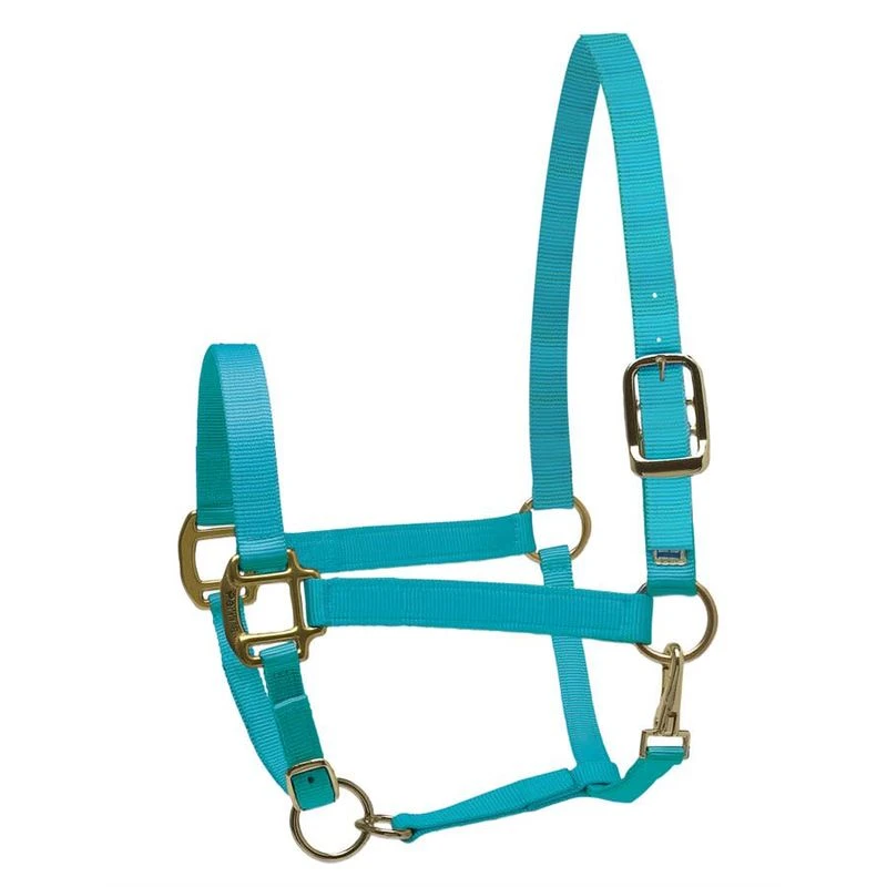Perri's Nylon SuperHalter - Turquoise 3 Perri's Nylon SuperHalter - Turquoise
