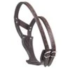 Camelot Wonder Cribbing Collar - Brown -Saddle Shop 504320 800 800