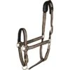 Catago Elegant Halter - Brownie -Saddle Shop 505777 800 800