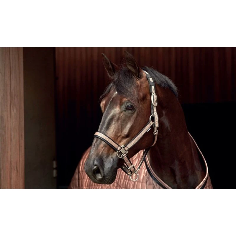 Catago Elegant Halter - Brownie 4 Catago Elegant Halter - Brownie - Image 2