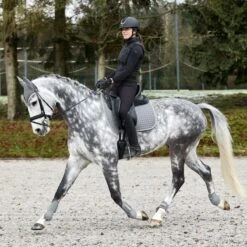 Horze Adepto Fetlock Boots - Steel Grey 9 Horze Adepto Fetlock Boots - Steel Grey -Saddle Shop 533547 800 800