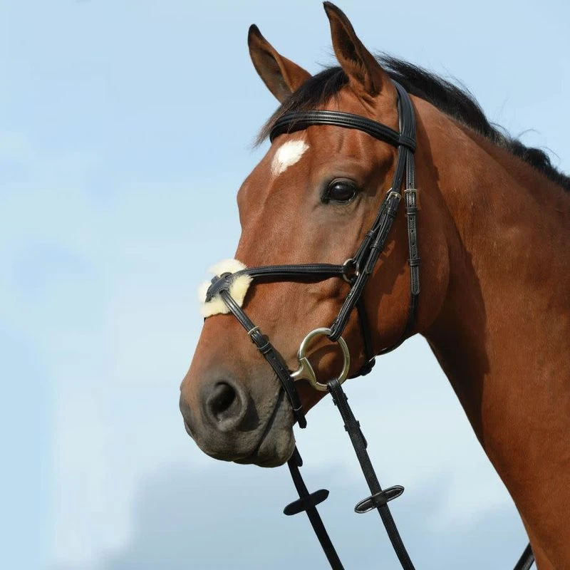 Collegiate Syntovia+ Padded Raised Figure 8 Bridle - Brown 3 Collegiate Syntovia+ Padded Raised Figure 8 Bridle - Brown