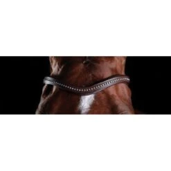 Collegiate Comfitec Sheepskin Bridle - Brown -Saddle Shop 540546 800 800