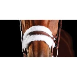 Collegiate Comfitec Sheepskin Bridle - Brown -Saddle Shop 540547 800 800