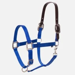 Equinavia Loki Breakaway Halter - Royal Blue
