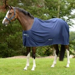 Bucas Shamrock Power Cooler - Navy