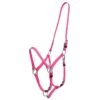 Zilco Deluxe Endurance Bridle/Halter Cavesson Only - Pink 2 Zilco Deluxe Endurance Bridle/Halter Cavesson Only - Pink -Saddle Shop 545721 800 800