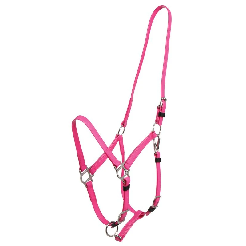 Zilco Deluxe Endurance Bridle/Halter Cavesson Only - Pink 3 Zilco Deluxe Endurance Bridle/Halter Cavesson Only - Pink