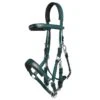 Zilco Marathon Endurance Bridle - Hunter Green -Saddle Shop 548522 800 800