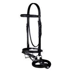 Passport Raised And Padded Bridle W/Flash - Black