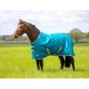 Shires Tempest Original 50 - Blue 1 Shires Tempest Original 50 - Blue -Saddle Shop 553562 800 800