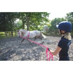 Shires Soft Feel 26ft Lunge Line - Pink -Saddle Shop 553744 800 800