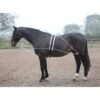 Shires Lunging Aid - Black -Saddle Shop 553776 800 800